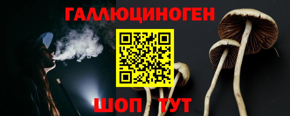 Псилоцибиновые грибы Cubensis Ставрополь