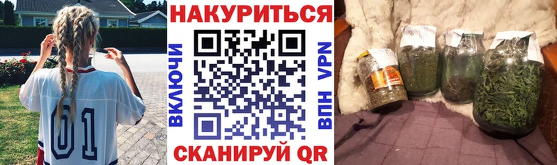 Конопля OG Kush  Ставрополь 